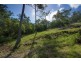 Lot 22 Rainforest Close, Sugarloaf QLD 4800