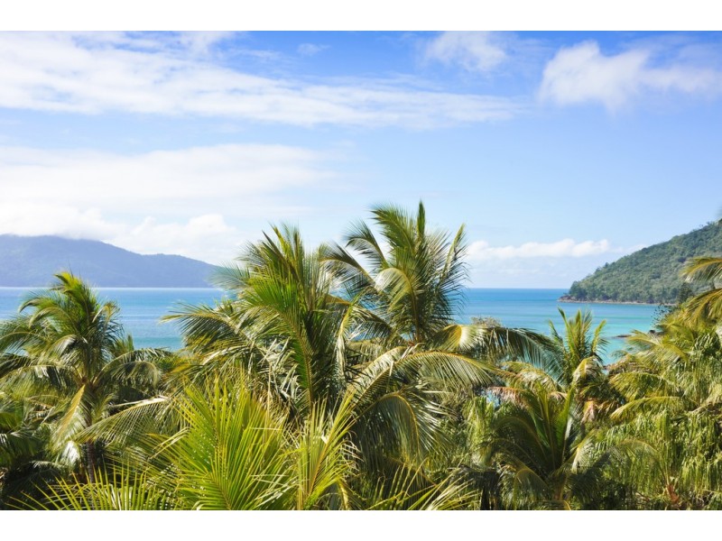 302 E Whitsunday Apartments, Hamilton Island QLD 4803