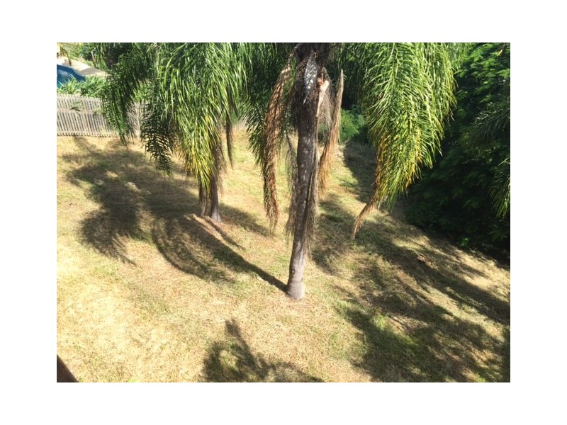 31 Moonlight Drive, Jubilee Pocket QLD 4802