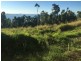 46 Mount Whitsunday Drive, Airlie Beach QLD 4802
