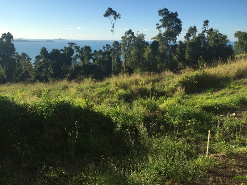 46 Mount Whitsunday Drive, Airlie Beach QLD 4802