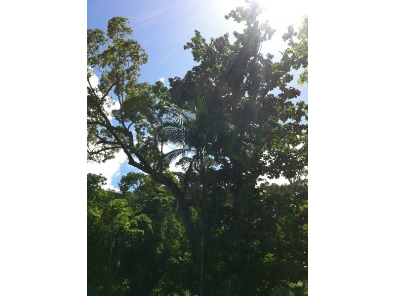 Lot 3 Mandalay Gardens, Mandalay Road, Mandalay QLD 4802