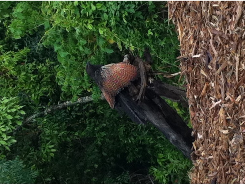 Lot 3 Mandalay Gardens, Mandalay Road, Mandalay QLD 4802