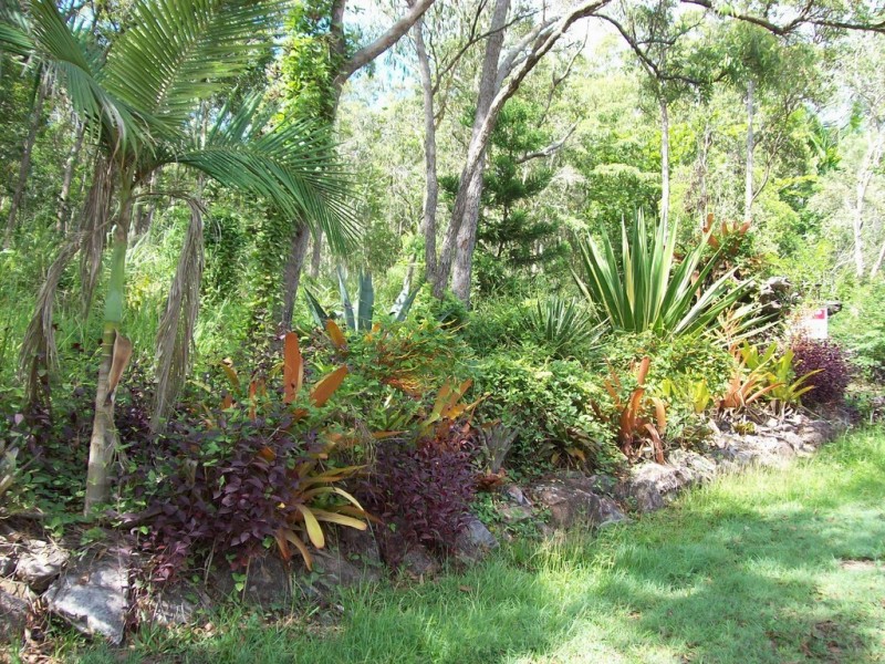 287 Saltwater Creek Road, Conway QLD 4800