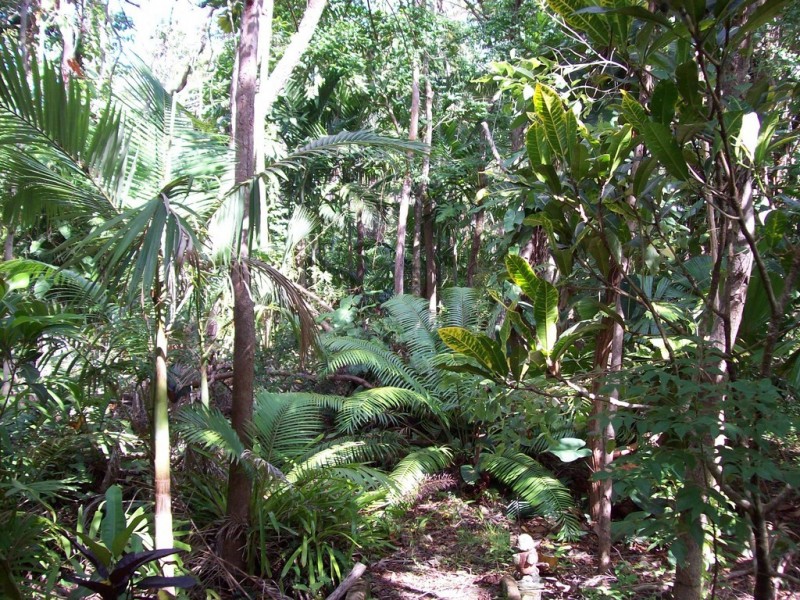 287 Saltwater Creek Road, Conway QLD 4800