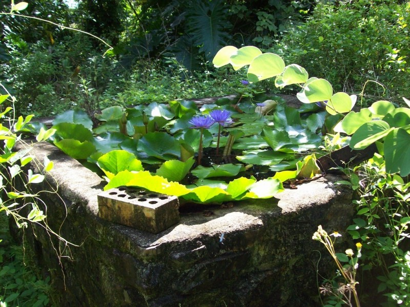 287 Saltwater Creek Road, Conway QLD 4800