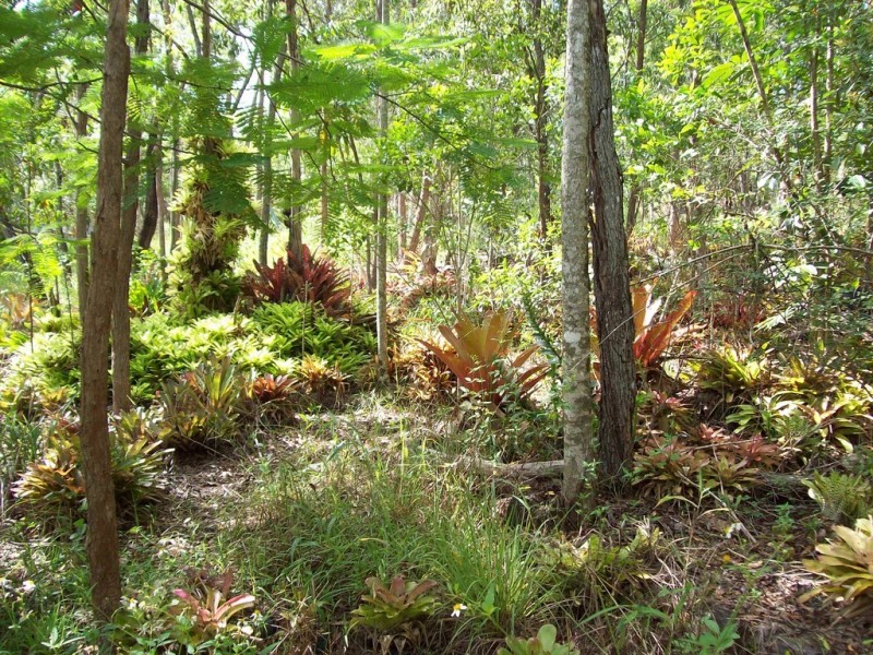 287 Saltwater Creek Road, Conway QLD 4800