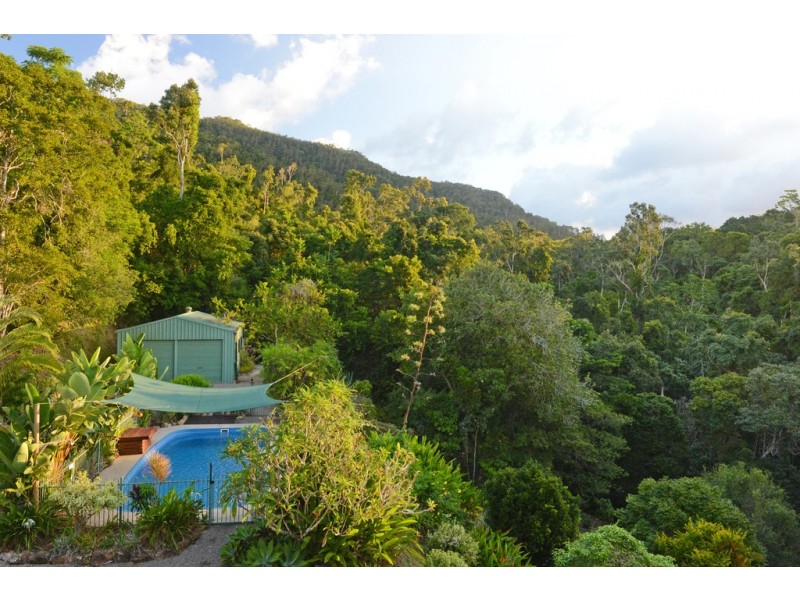 110 Orchid Road, Cannon Valley QLD 4800