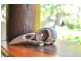 34 Gleneva Drive, Gregory River QLD 4800