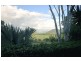 11 Pini Road, Strathdickie QLD 4800