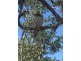 Lot 29 Conder Parade, Laguna Quays QLD 4800