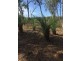 Lot 29 Conder Parade, Laguna Quays QLD 4800