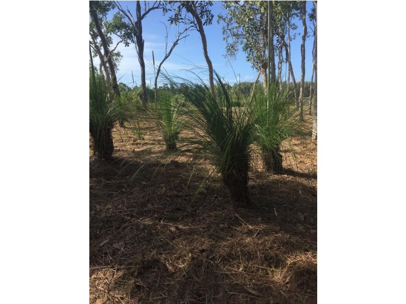 Lot 29 Conder Parade, Laguna Quays QLD 4800