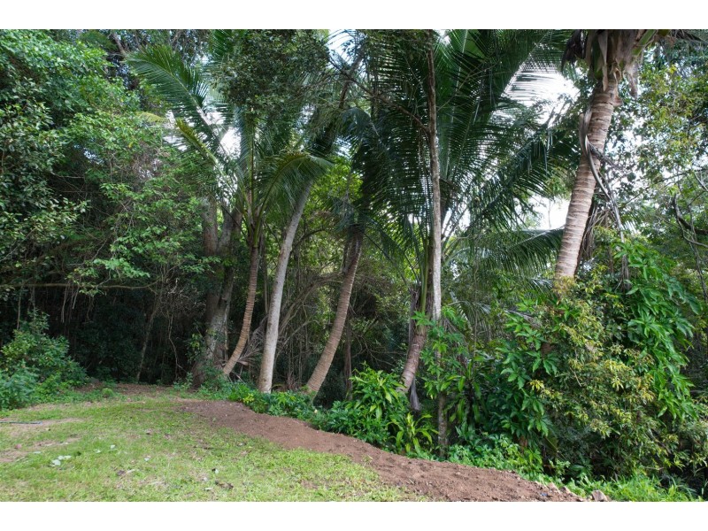 150 Orchid Road, Cannon Valley QLD 4800