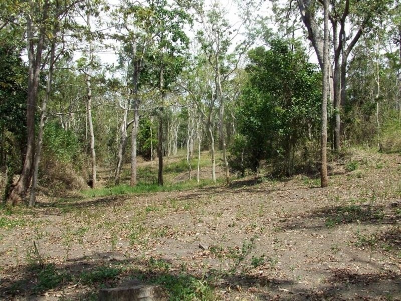 37 Rifle Range Road, Cannon Valley QLD 4800