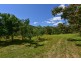 37 Rifle Range Road, Cannon Valley QLD 4800