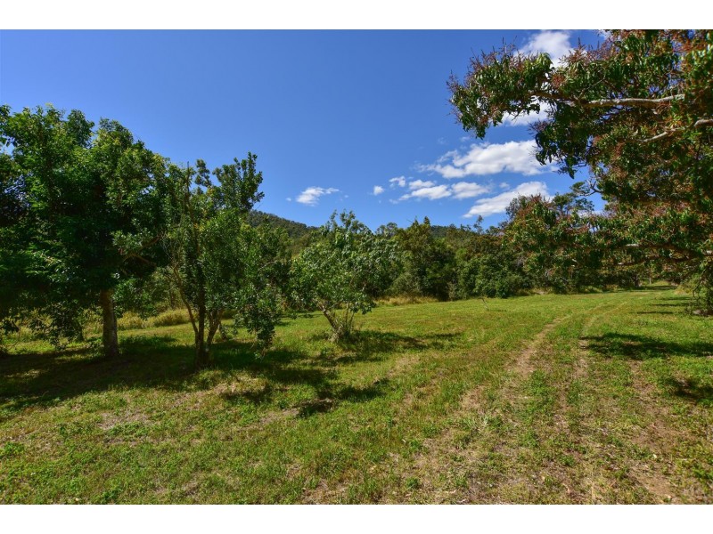 37 Rifle Range Road, Cannon Valley QLD 4800
