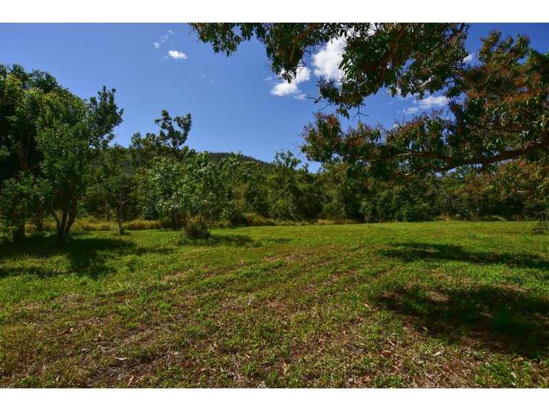 37 Rifle Range Road, Cannon Valley QLD 4800