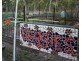 1229 Midge Point Road, Midge Point QLD 4799