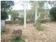 17 Manooka Drive, Cannonvale QLD 4802