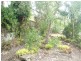 17 Manooka Drive, Cannonvale QLD 4802