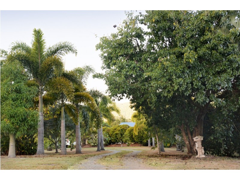 36 Tucker Road, Riordanvale QLD 4800