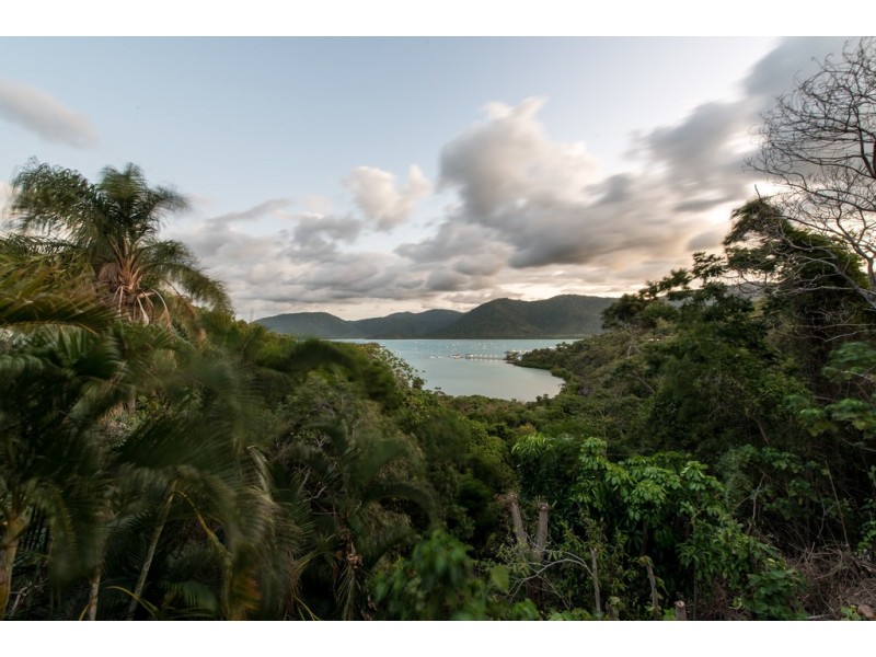 2 Harbour Avenue, Shute Harbour QLD 4802