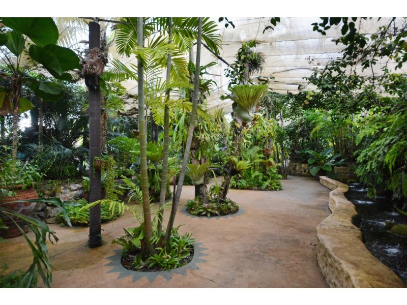 Botanica House, Botanica Estate, Cannonvale QLD 4802