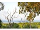 7 Alice Court, Cannonvale QLD 4802