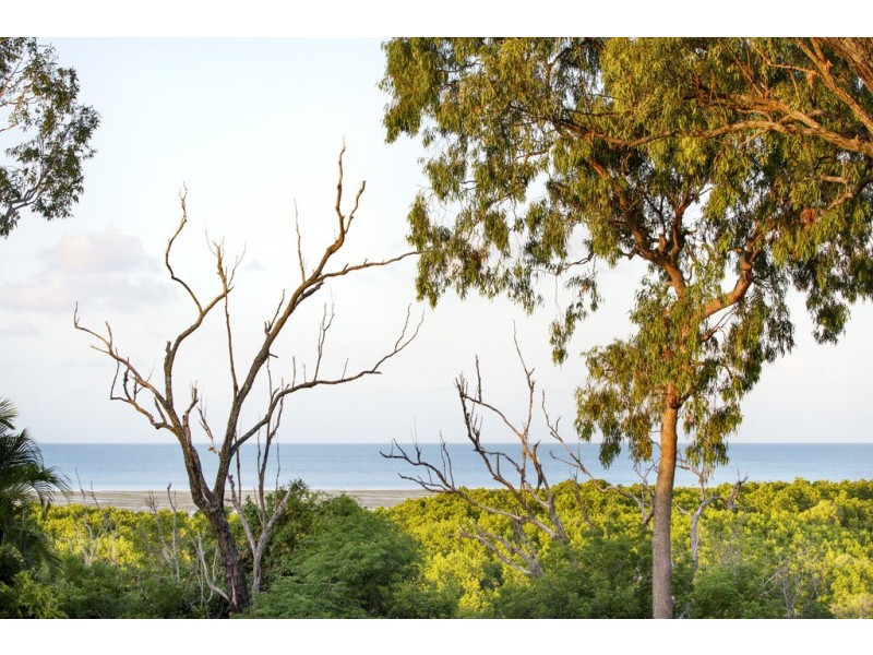 7 Alice Court, Cannonvale QLD 4802