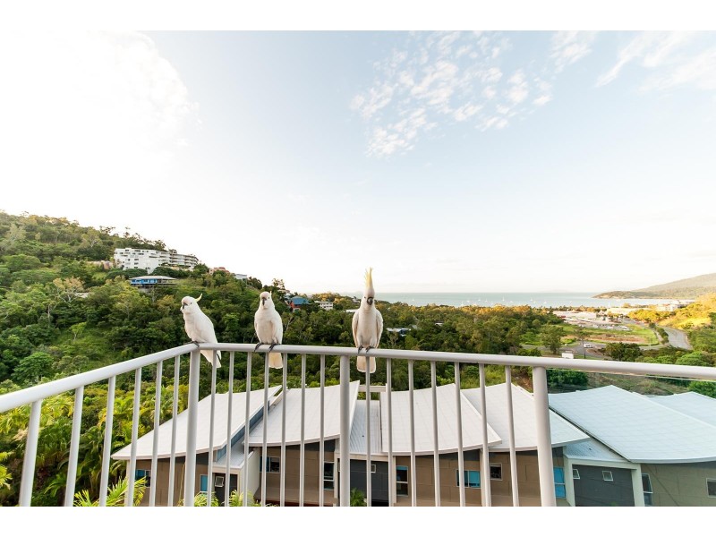 29/18 Raintree Place, Airlie Beach QLD 4802