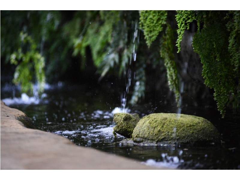 Botanica House, Botanica Estate, Cannonvale QLD 4802