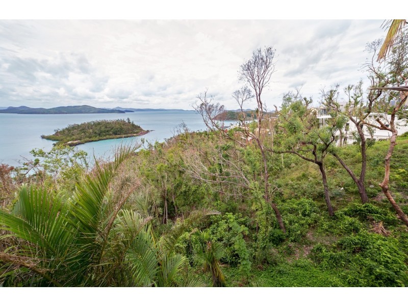 35 – 37 Harbour Avenue, Shute Harbour QLD 4802