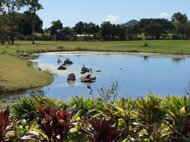 14 Masthead Road, Cannonvale QLD 4802