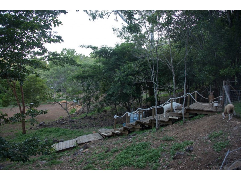 237 Paluma Road, Woodwark QLD 4802