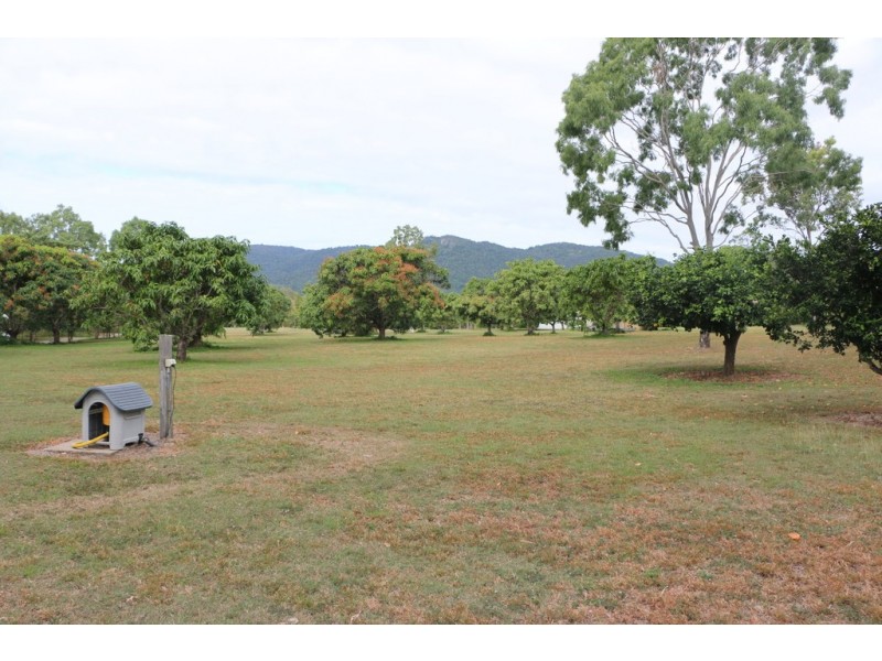 1 Braithwaite Court, Cannonvale QLD 4802