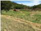 Lot 3 Shute Harbour Road, Flametree QLD 4802
