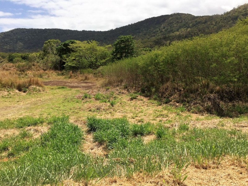 Lot 3 Shute Harbour Road, Flametree QLD 4802