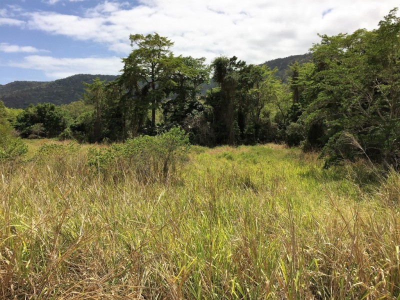 Lot 3 Shute Harbour Road, Flametree QLD 4802