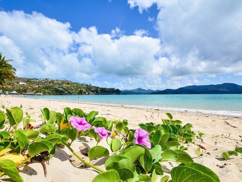 D207/18 Resort Drive, Hibiscus Lodge, Hamilton Island QLD 4803