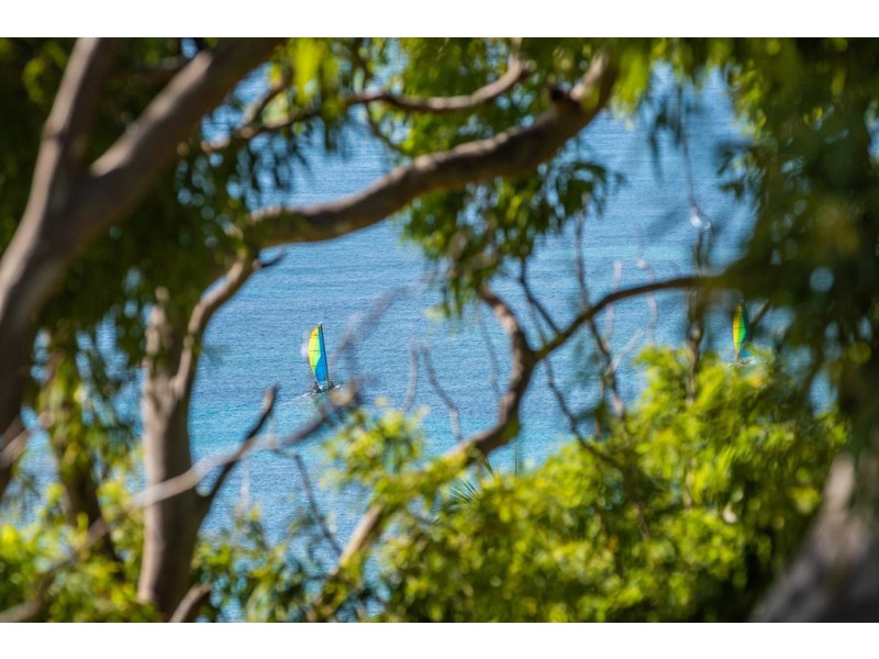 12/6 Great Northern Highway, Coral Sea Apartments, Hamilton Island QLD 4803