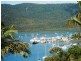 6 Shutehaven Close, Shute Harbour QLD 4802