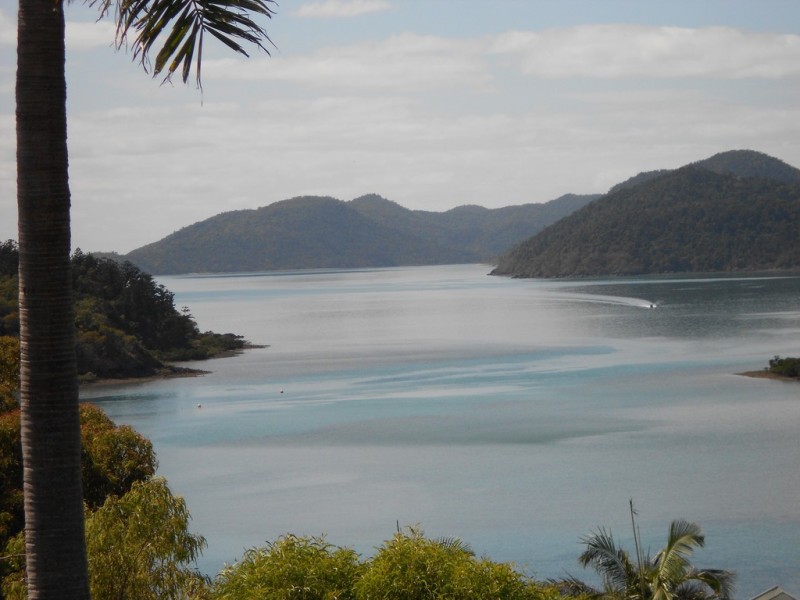6 Shutehaven Close, Shute Harbour QLD 4802