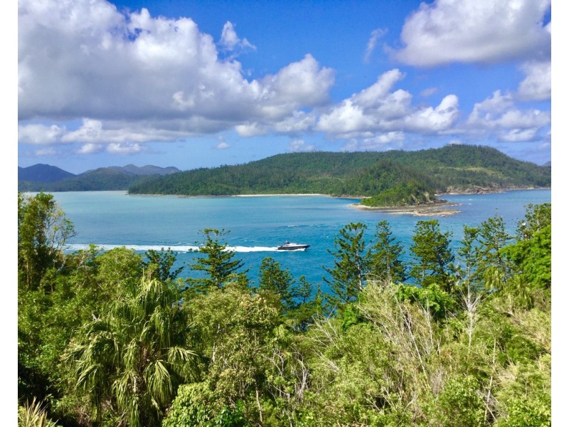 6 La Bella 1 Coral Sea Avenue, Hamilton Island QLD 4803