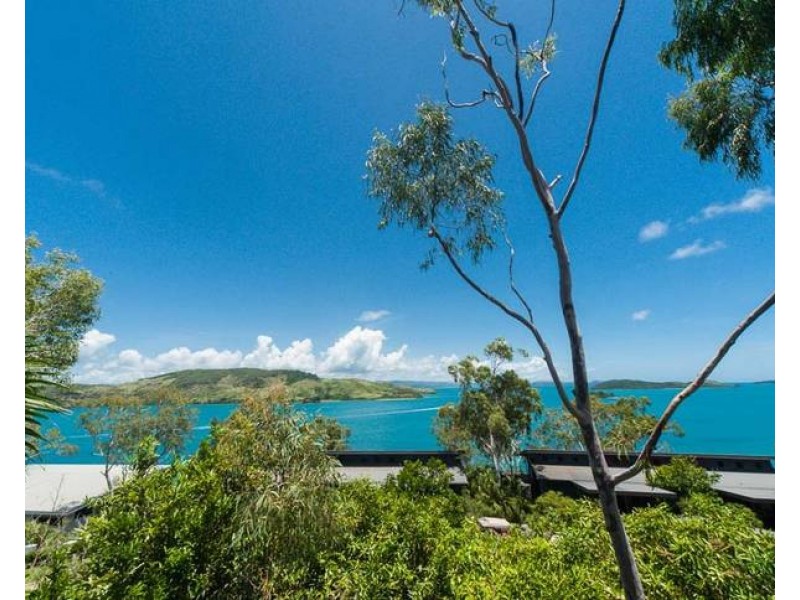 Compass Point 11/4 Acacia Drive, Hamilton Island QLD 4803