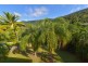 31 Moonlight Drive, Jubilee Pocket QLD 4802