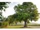 1 Simpson Road, Strathdickie QLD 4800