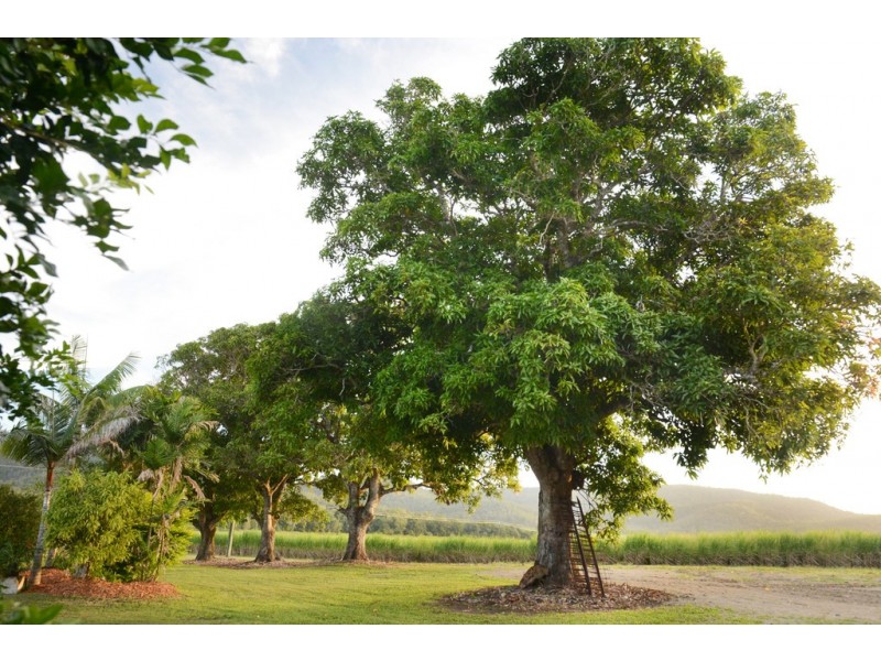 1 Simpson Road, Strathdickie QLD 4800