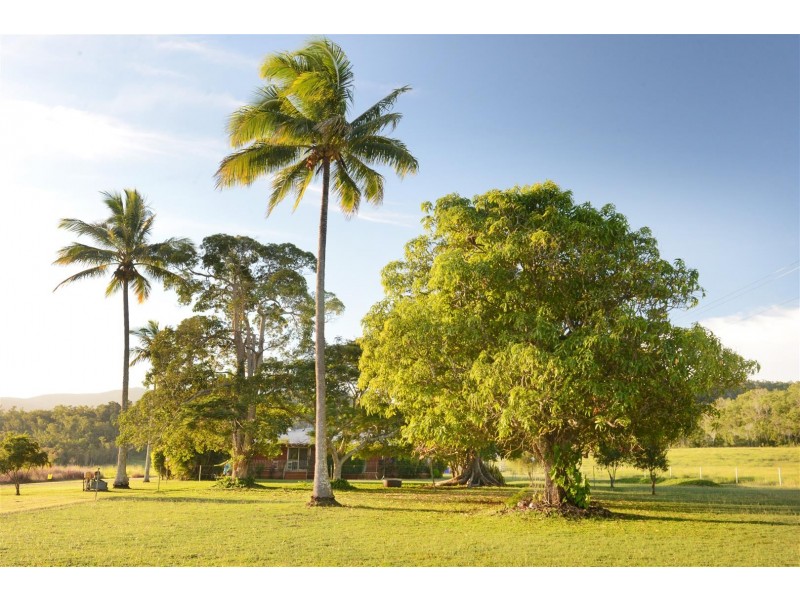 491 Gregory Cannon Valley Road, Strathdickie QLD 4800