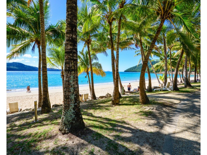 Lagoon Lodge 107/18 Resort Drive, Hamilton Island QLD 4803